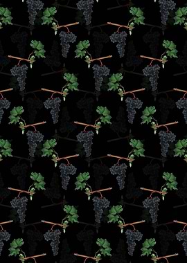 Dolcetto Grapes Pattern