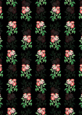 Rose Clare Flower Pattern