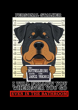 Rottweiler Stalker