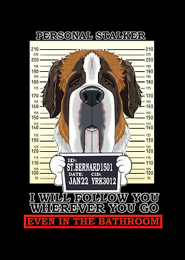 Saint Bernard Stalker