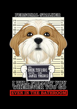 Shih Tzu Personal Stalker
