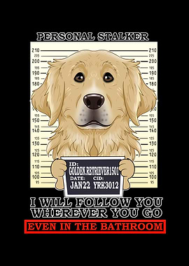 Golden Retriever Stalker