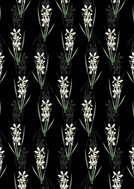 Yellow Banded Iris Pattern