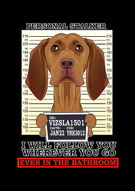 Vizsla Personal Stalker