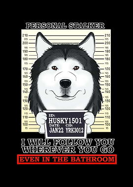 Husky Personal Stalker