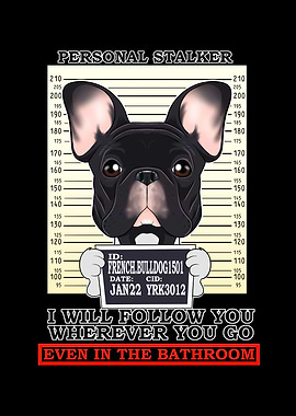 French Bulldog Stalker