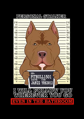Pitbull Personal Stalker