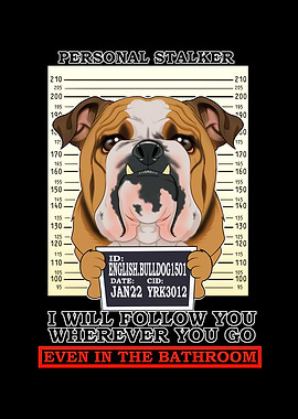 English Bulldog Stalker