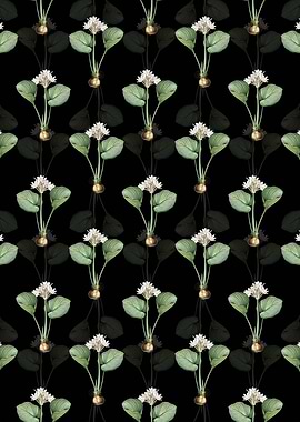 Cardwell Lily Pattern