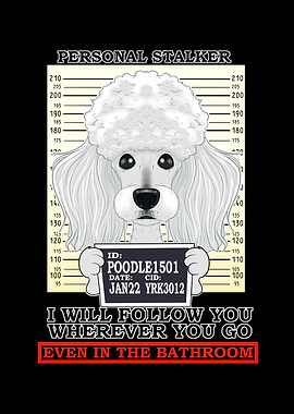 Poodle Personal Stalker