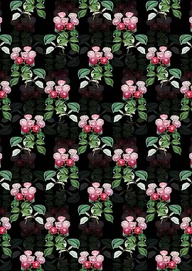 Seven Sisters Rose Pattern
