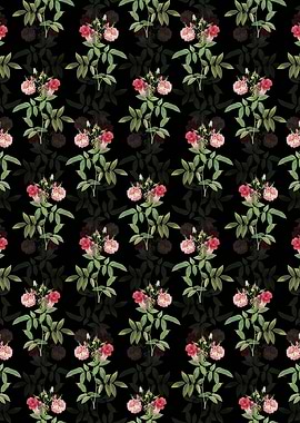 Floral Hudson Rose Pattern
