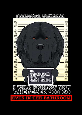Newfoundland Stalker
