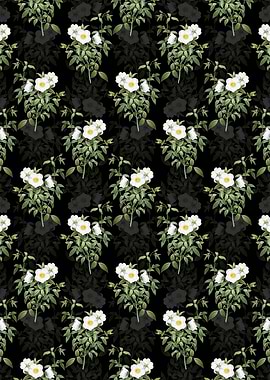 White Rose of Snow Pattern