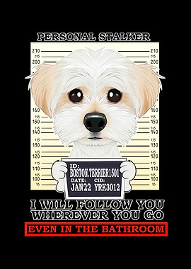 Maltese Personal Stalker