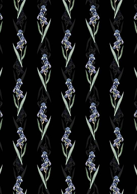 Dalmatian Iris Pattern