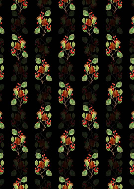 Plum Leaved Thorn Flower