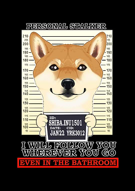 Shiba Inu Personal Stalker