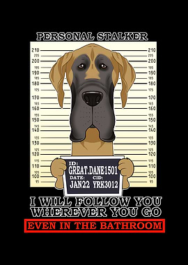 Great Dane Stalker