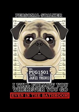 Pug Personal Stalker