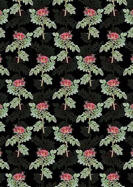 Kamtschatka Rose Pattern