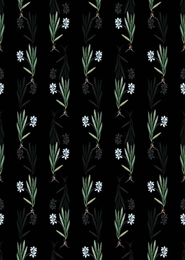 Gladiolus Plicatus Pattern