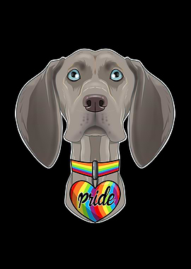 Weimaraner I LGBTQ Flag