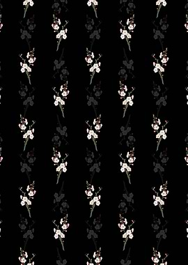 Apricot Flower Pattern