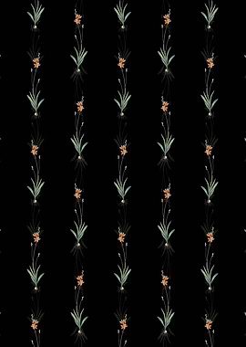 Black Mossel Bay Tritonia