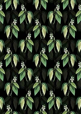 Floral Malabar Nut Pattern