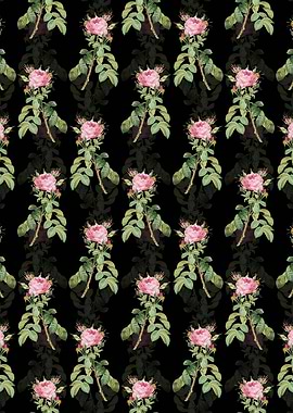 Lelieurs Four Seasons Rose