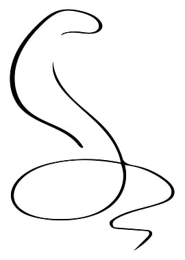 Snake Line Art Minimal