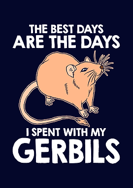I Spent With My Gerbils
