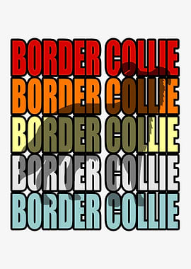 Border Collie Cute Dog