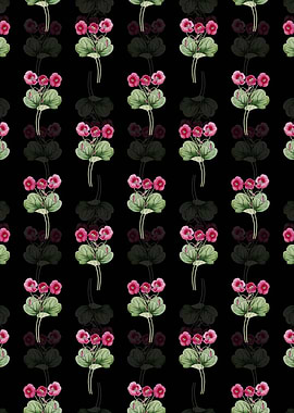 Bowies Oxalis Pattern