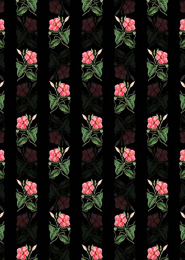 Knob Jointed Dipladenia