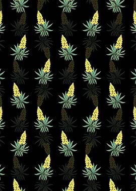 Yellow Perennial Lupine