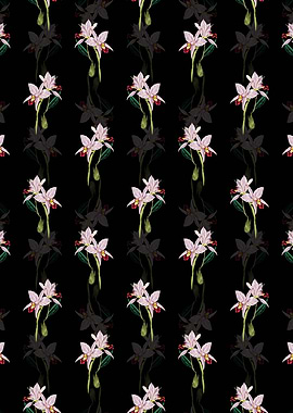 Two Edged Laelia Pattern