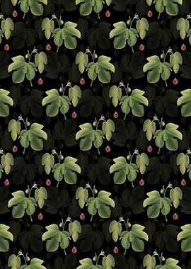 Briansole Figs Pattern