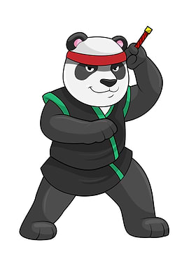Panda Ninja Costume