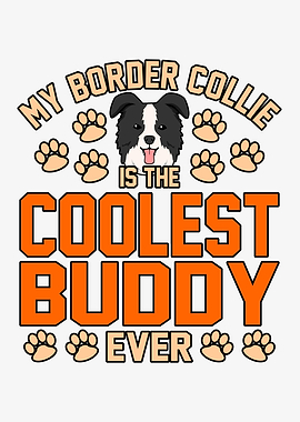 Border Collie Coolest
