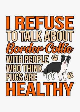 Border Collie Cute Paws