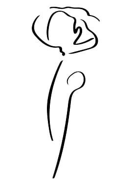 Poppy Line Art Minimal