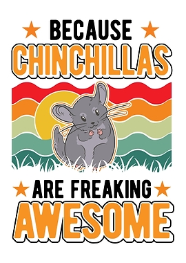 Chinchillas Are Awesome