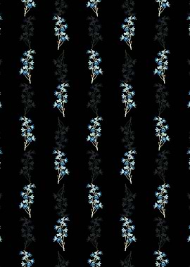 Shewy Delphinium Flower