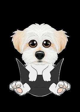 Maltese Puppy In Pocket