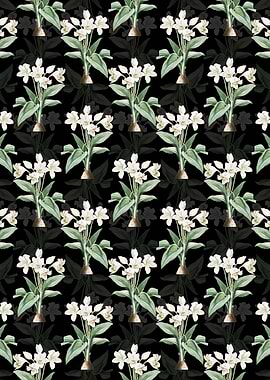 Crinum Giganteum Pattern