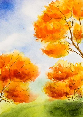 Autumn Yellowish Trees