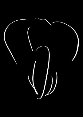 Elephant Line Art Minimal