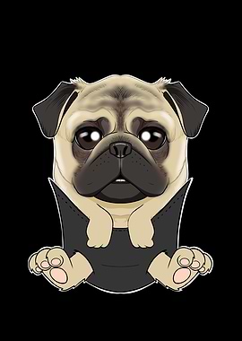 Cute Pug Puppy In Pocket